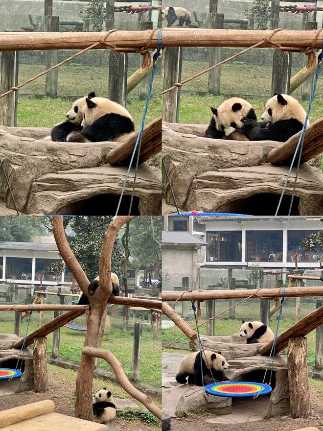 带老人小孩去重庆旅游五天需要多少钱AYX爱游戏重庆5天游玩景点顺序
