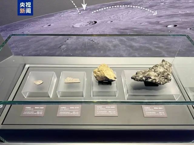 意一车次！下月5日起珠海站部分列车运行有调整→ayx爱游戏app新闻早茶｜一次扫码可乘坐任(图5)
