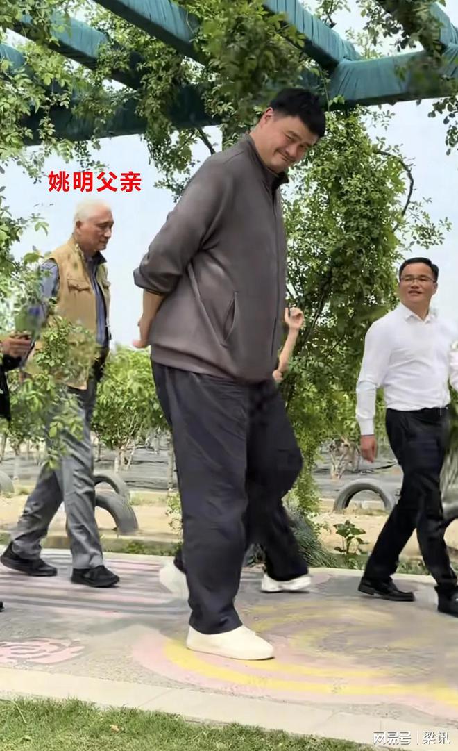 后越来越年轻和罗斯一家合照像是两代人爱游戏(ayx)45岁姚明现状：卸任(图13)
